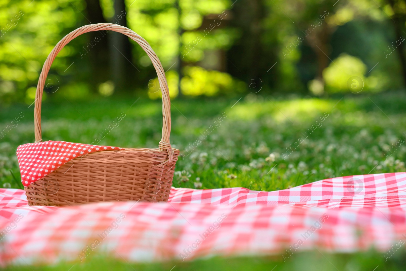 Photo of One picnic wicker basket with checkered napkin and blanket on green grass. Space for text