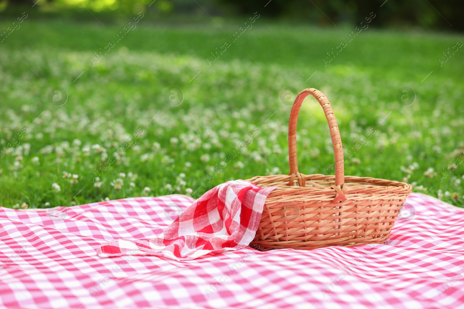 Photo of One picnic wicker basket with checkered napkin and blanket on green grass. Space for text