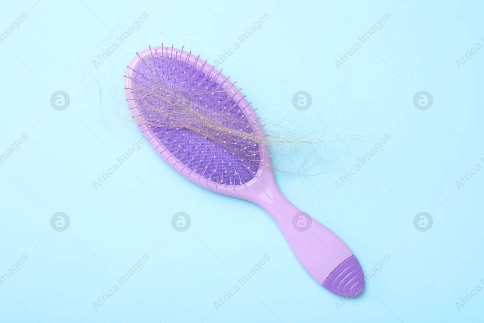 Photo of One brush with lost hair on light blue background, top view. Alopecia problem