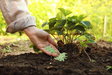 Photo of Woman putting fertilizer onto soil under plant outdoors, closeup