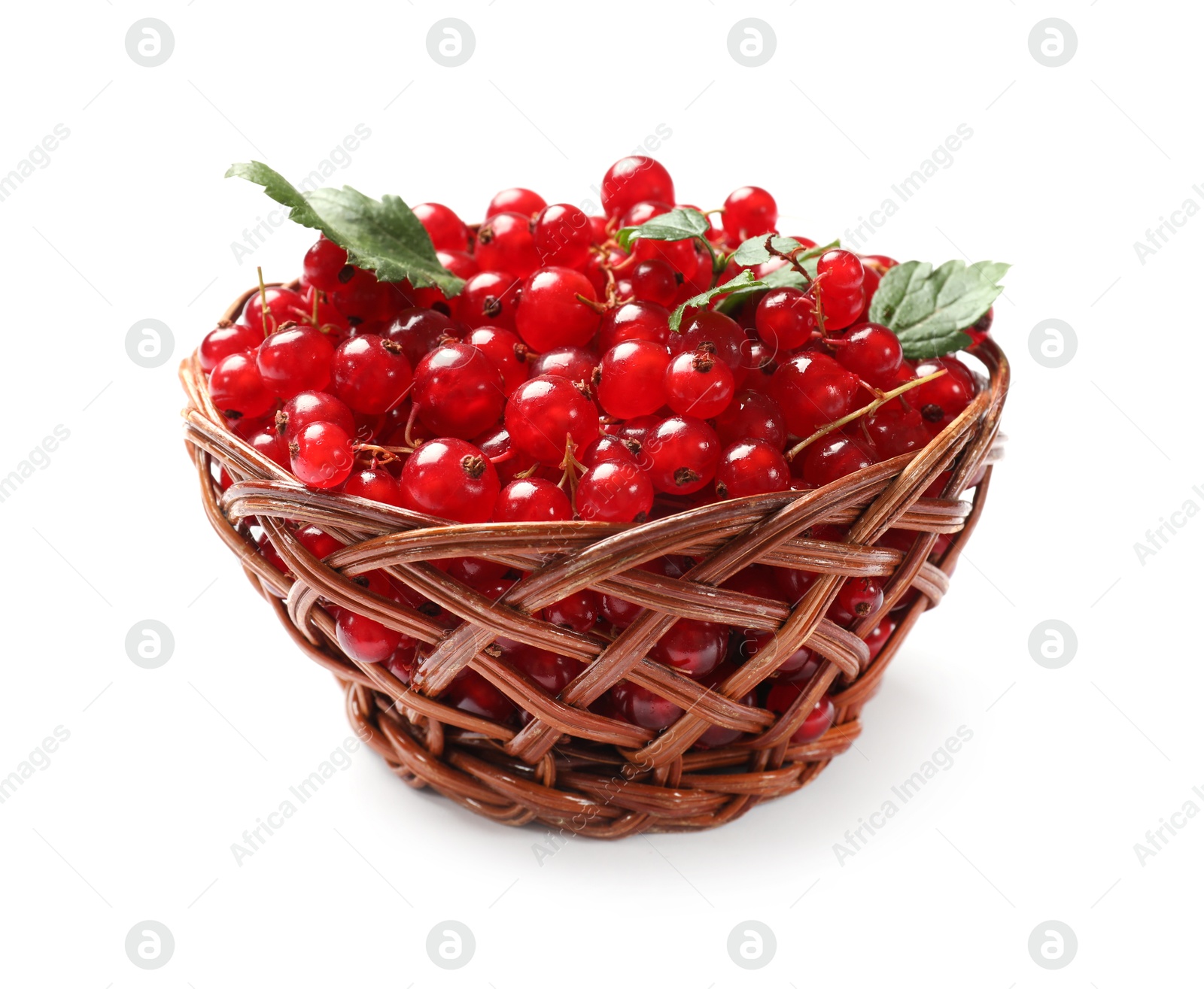 Photo of Ripe red currants with green leaves in basket isolated on white