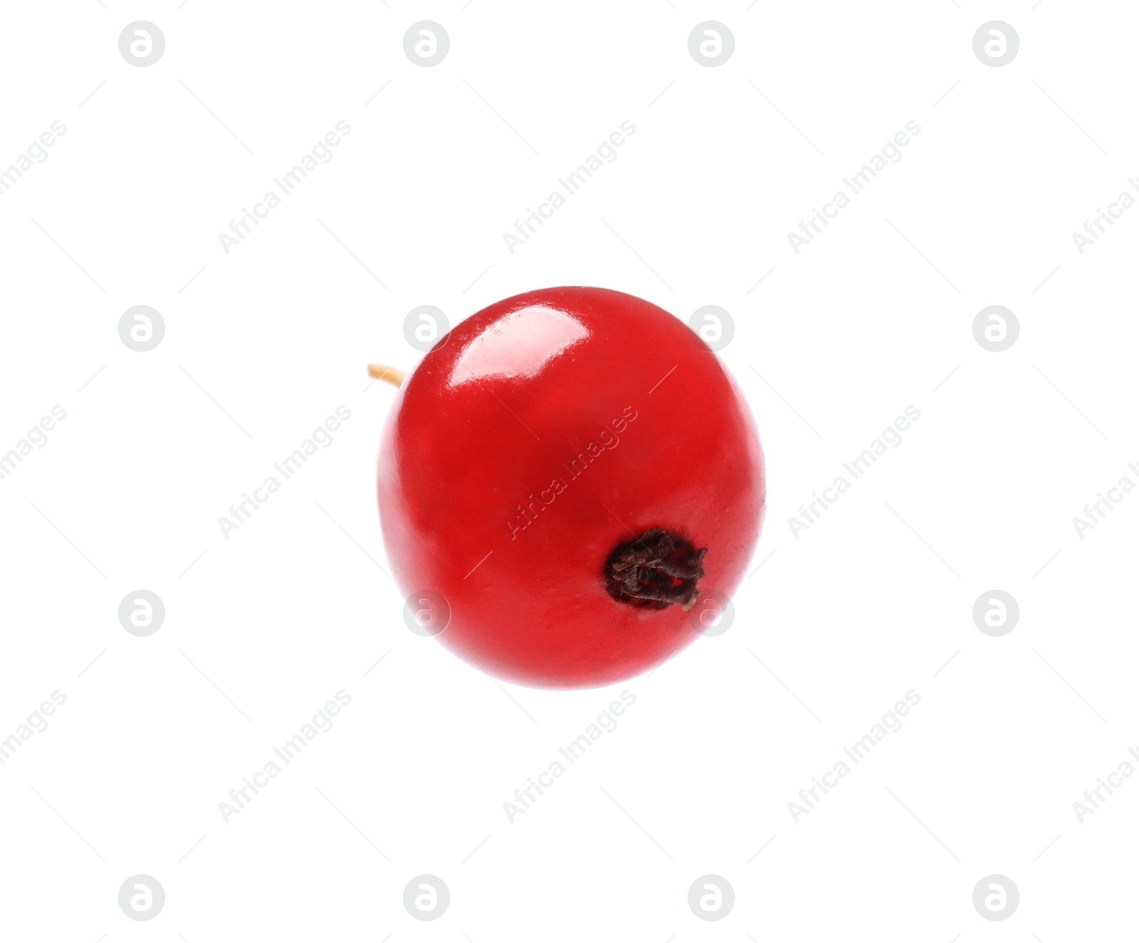 Photo of One fresh red currant isolated on white