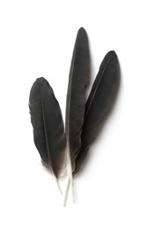 Photo of Beautiful black bird feathers isolated on white, top view