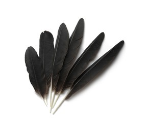 Photo of Beautiful black bird feathers isolated on white, top view