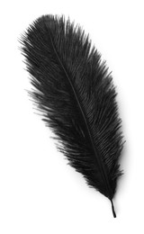 Photo of Beautiful black bird feather isolated on white, top view