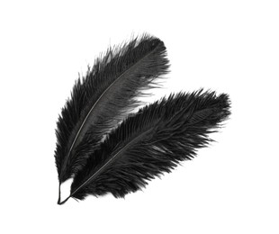 Photo of Beautiful black bird feathers isolated on white, top view