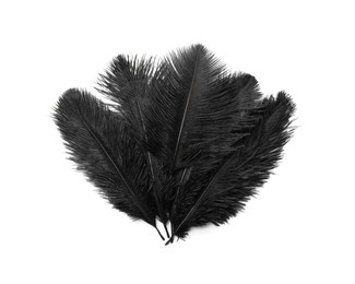 Beautiful black bird feathers isolated on white, top view