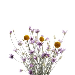 Photo of Bouquet of beautiful xeranthemum and craspedia isolated on white