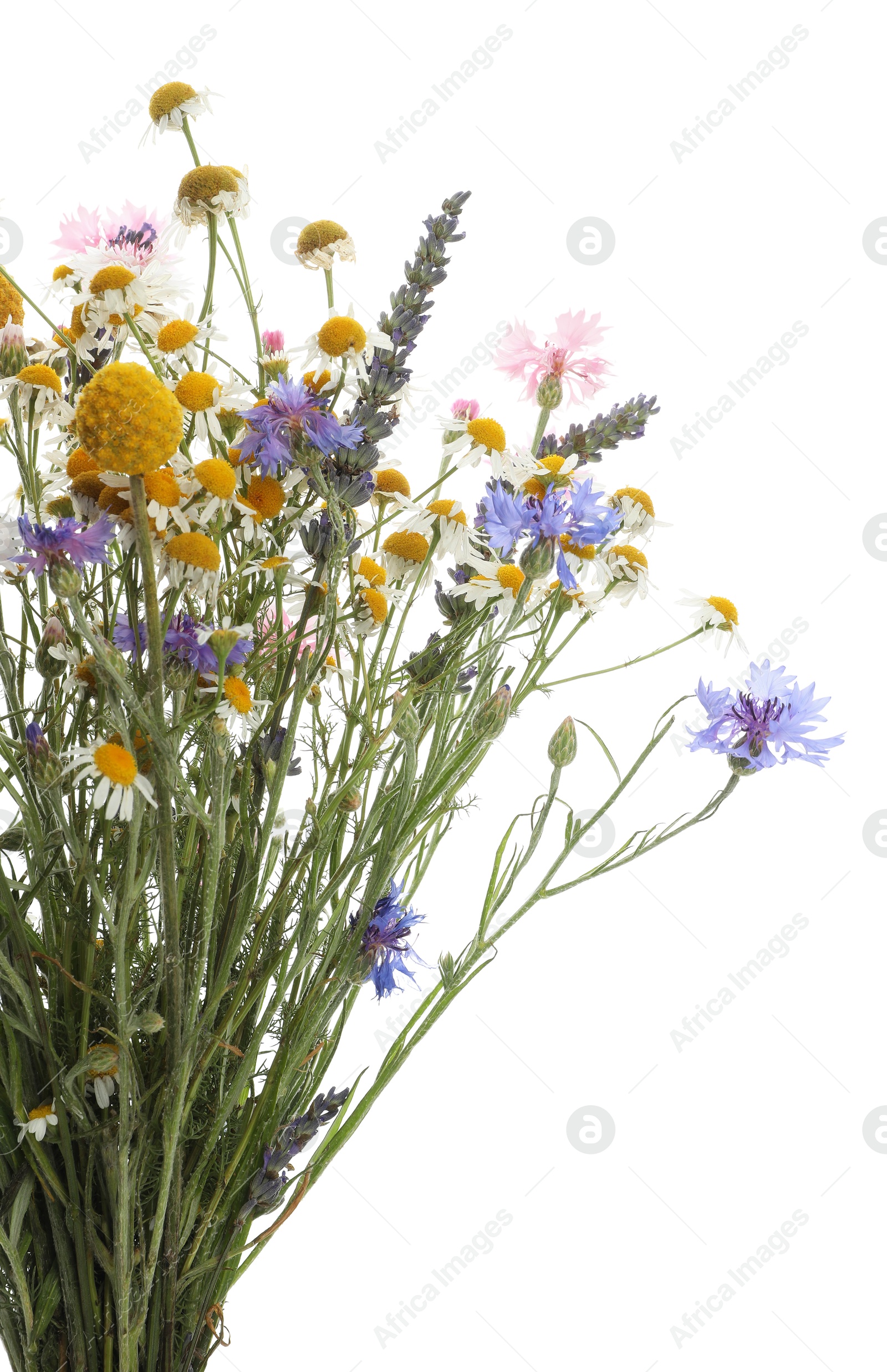 Photo of Bouquet of beautiful wildflowers isolated on white