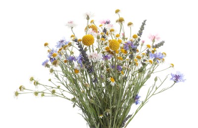 Bouquet of beautiful wildflowers isolated on white