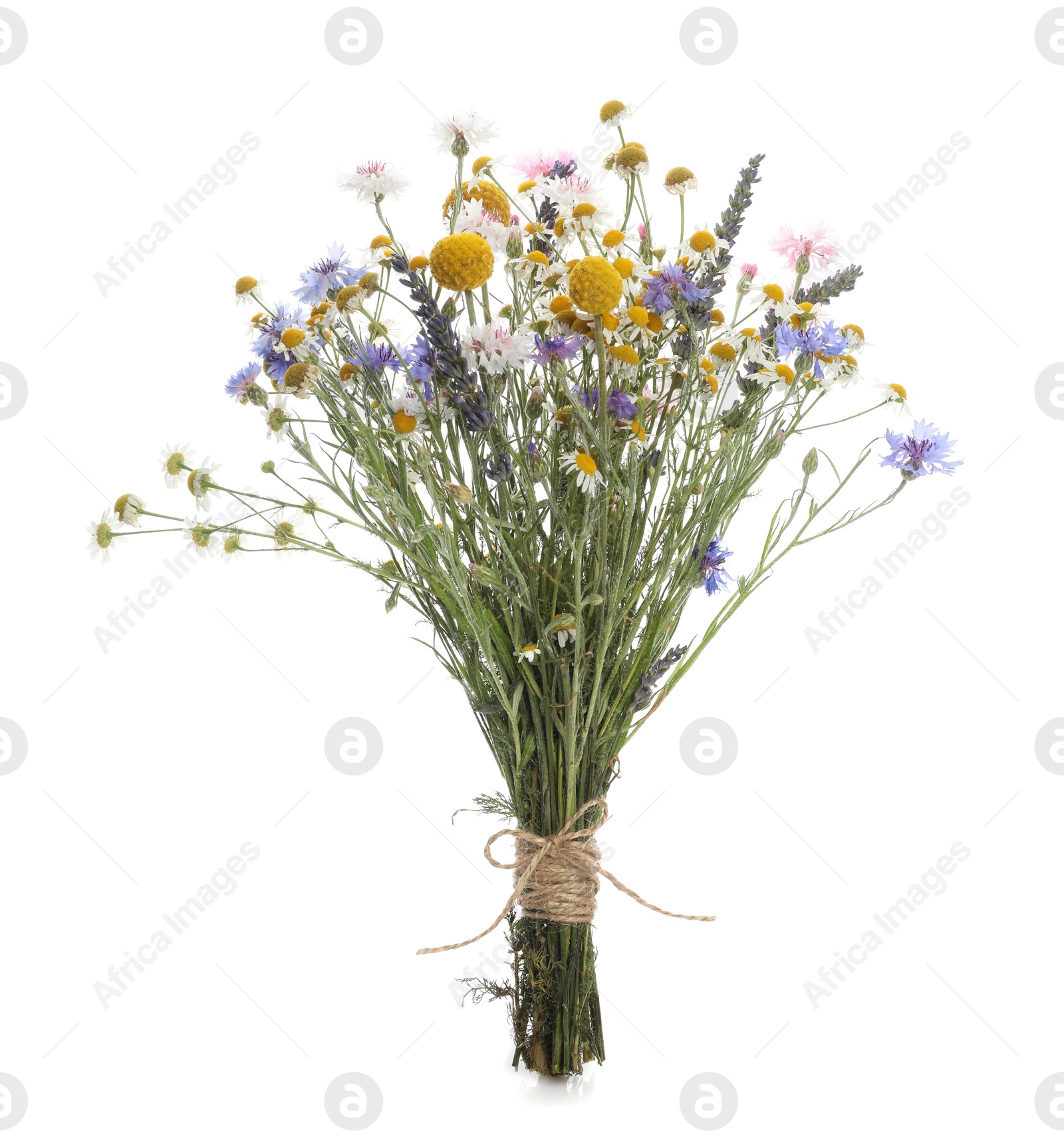 Photo of Bouquet of beautiful wildflowers isolated on white