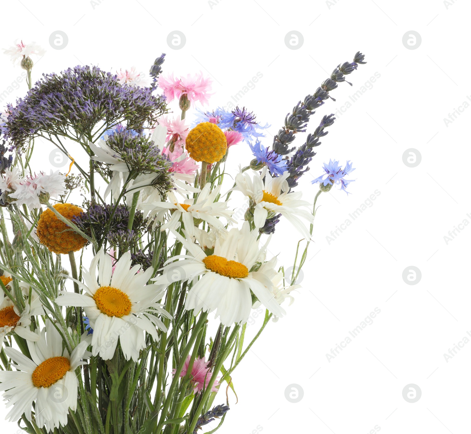 Photo of Bouquet of beautiful wildflowers isolated on white