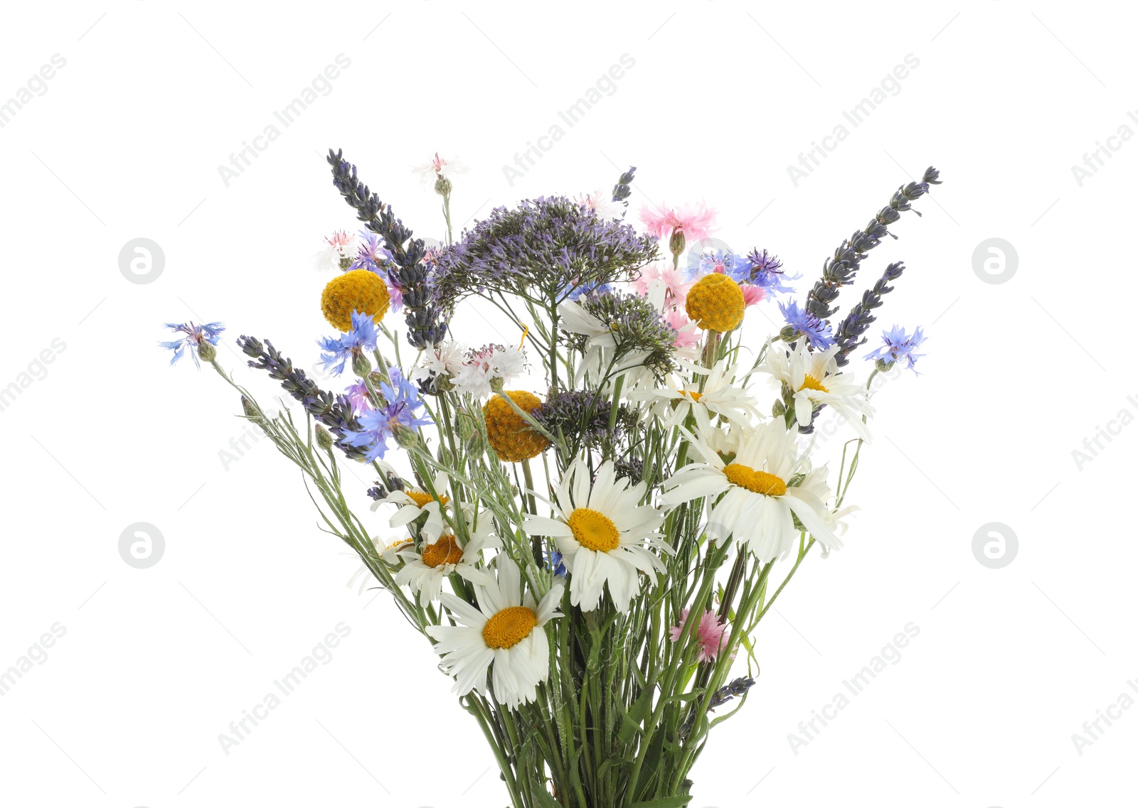 Photo of Bouquet of beautiful wildflowers isolated on white