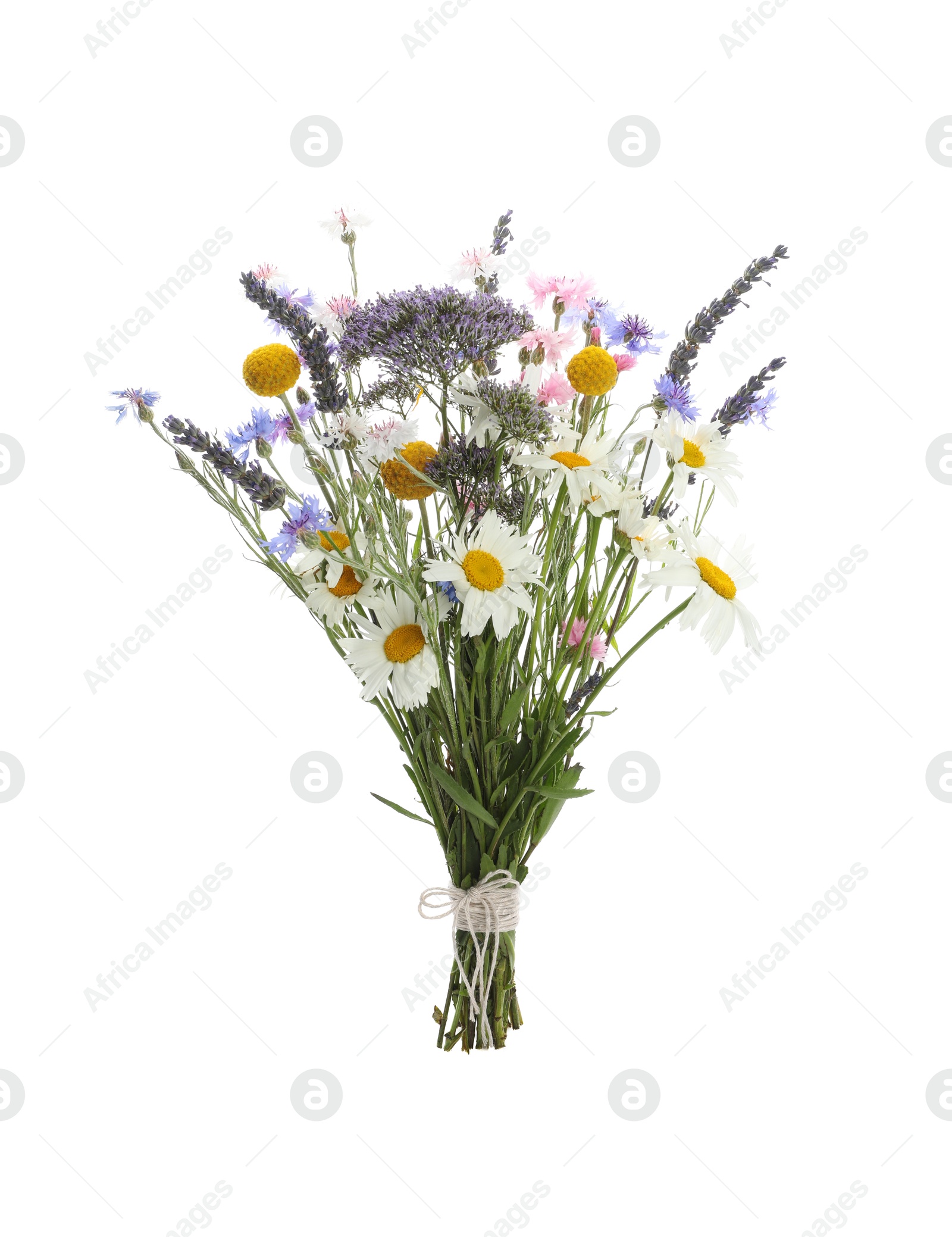 Photo of Bouquet of beautiful wildflowers isolated on white