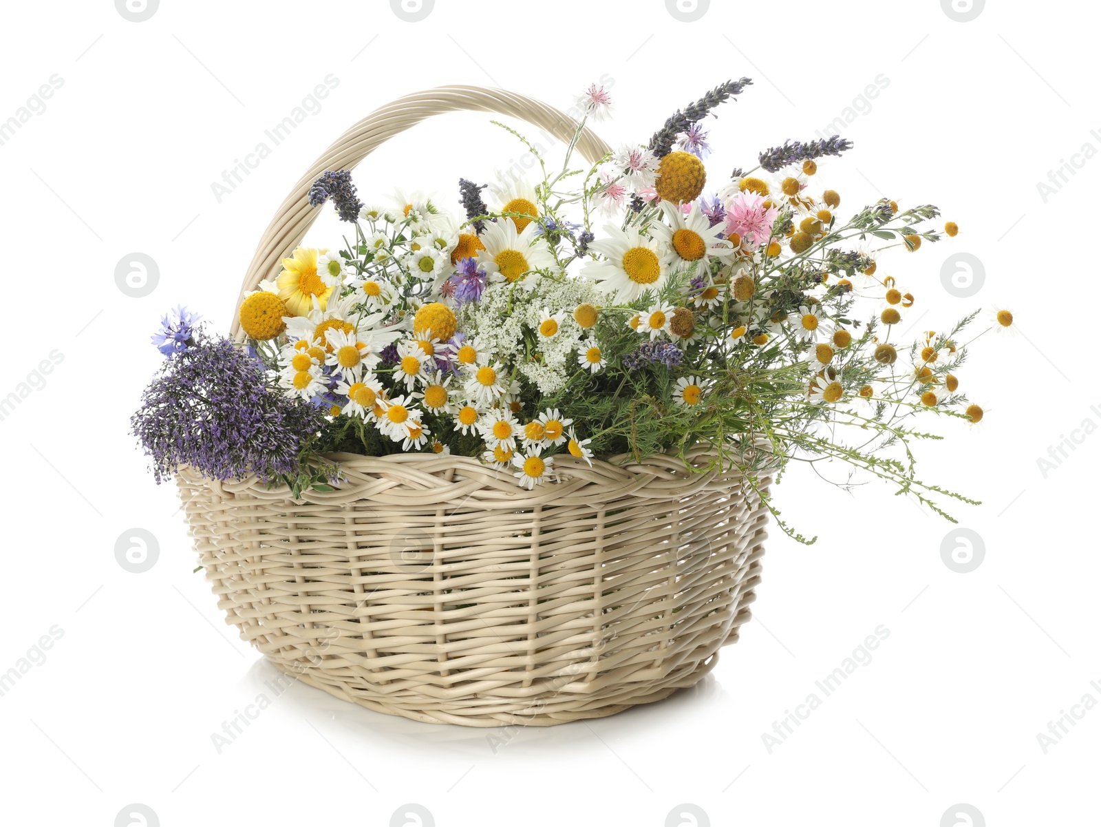 Photo of Beautiful wildflowers in wicker basket isolated on white