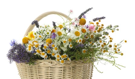 Photo of Beautiful wildflowers in wicker basket isolated on white