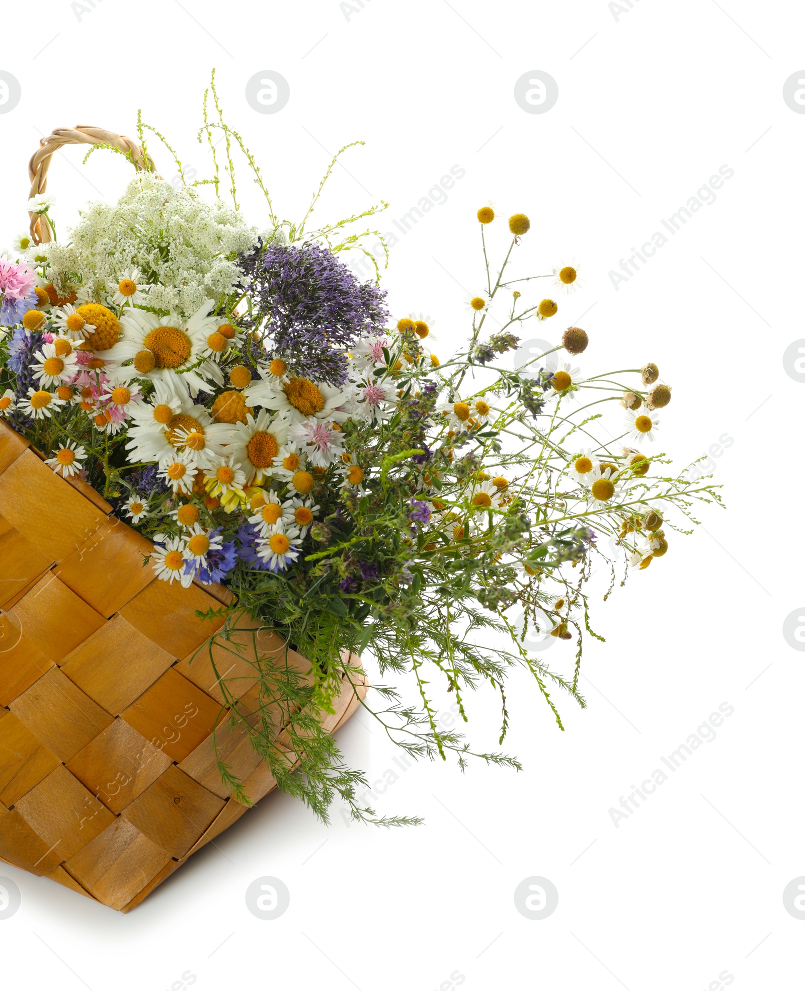 Photo of Beautiful wildflowers in bag isolated on white