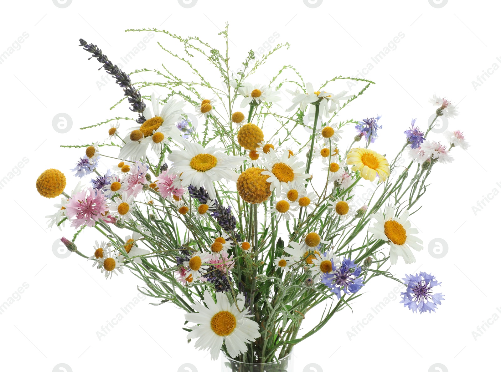 Photo of Bouquet of beautiful wildflowers isolated on white