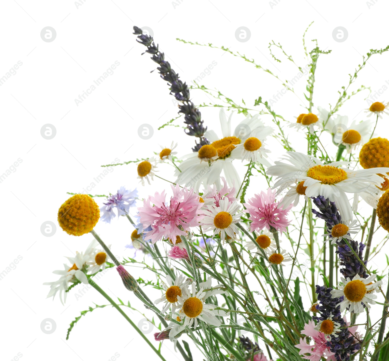 Photo of Bouquet of beautiful wildflowers isolated on white