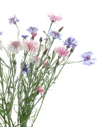 Photo of Bouquet of beautiful wildflowers isolated on white