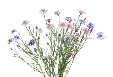 Photo of Bouquet of beautiful wildflowers isolated on white