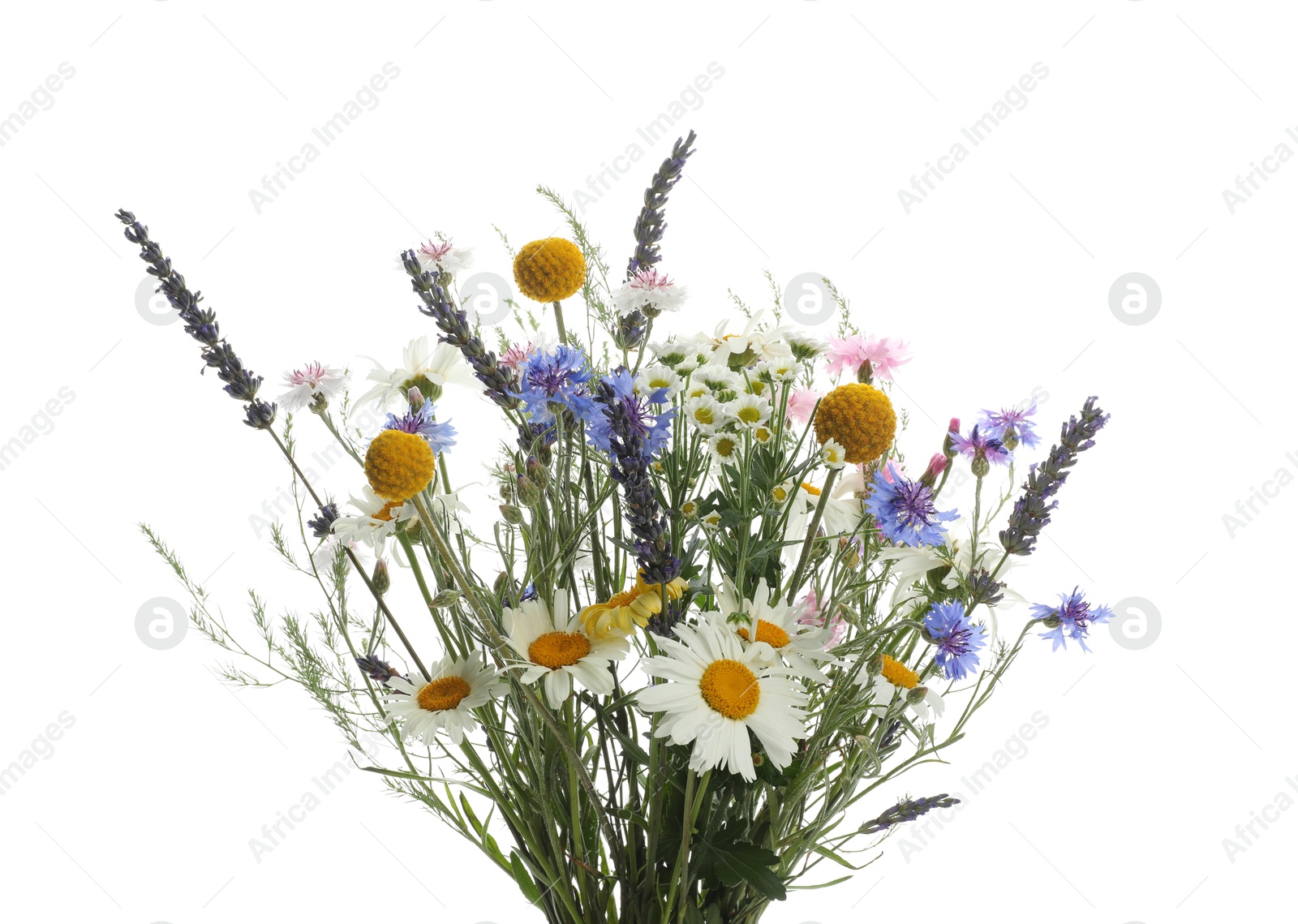 Photo of Bouquet of beautiful wildflowers isolated on white