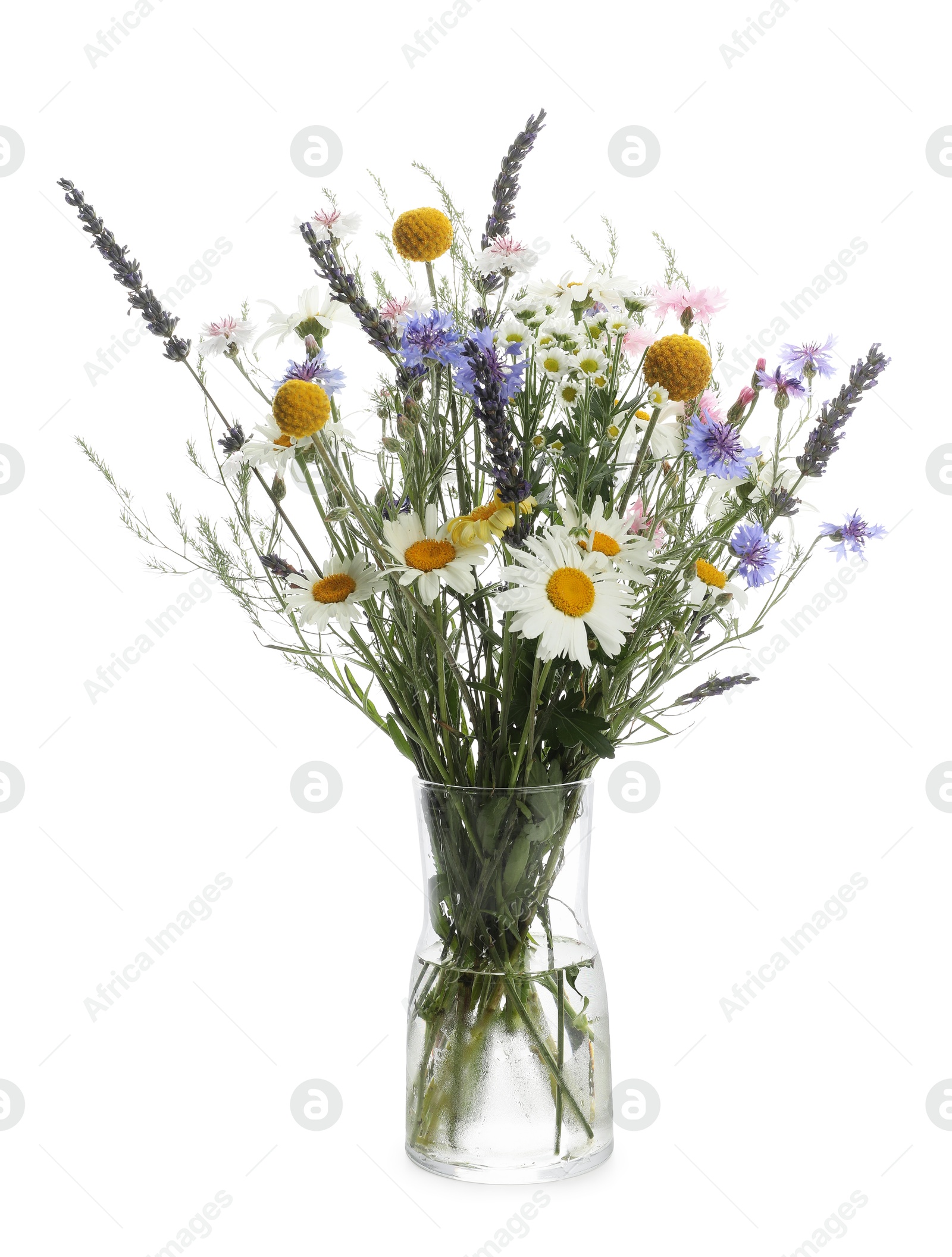 Photo of Beautiful wildflowers in vase isolated on white