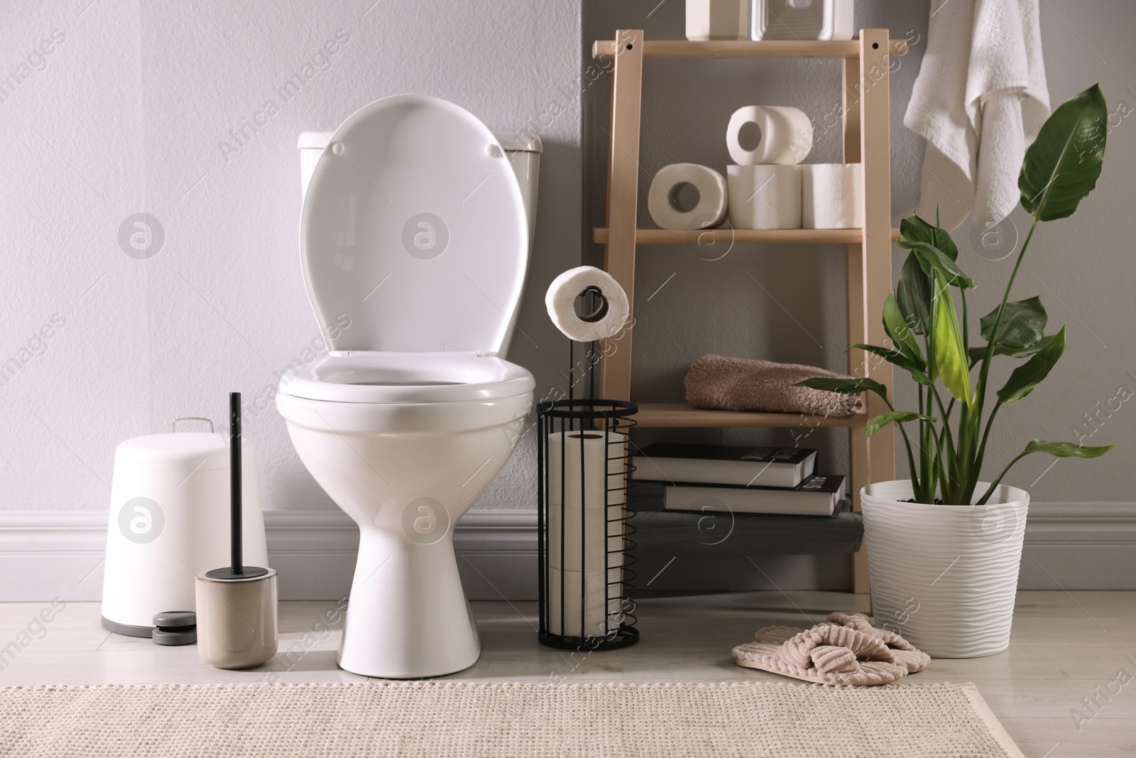 Photo of White toilet bowl, paper rolls and houseplant in bathroom