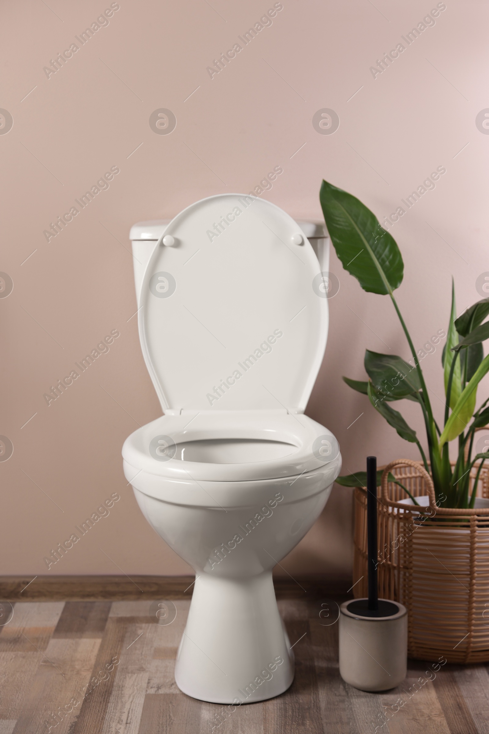 Photo of White toilet bowl and houseplant near beige wall indoors