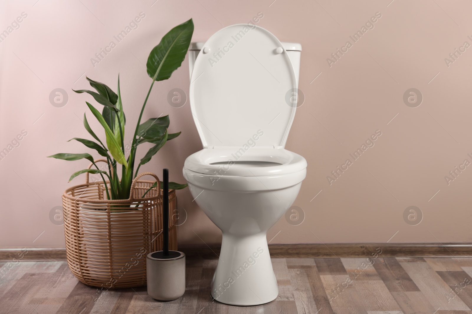 Photo of White toilet bowl and houseplant near beige wall indoors