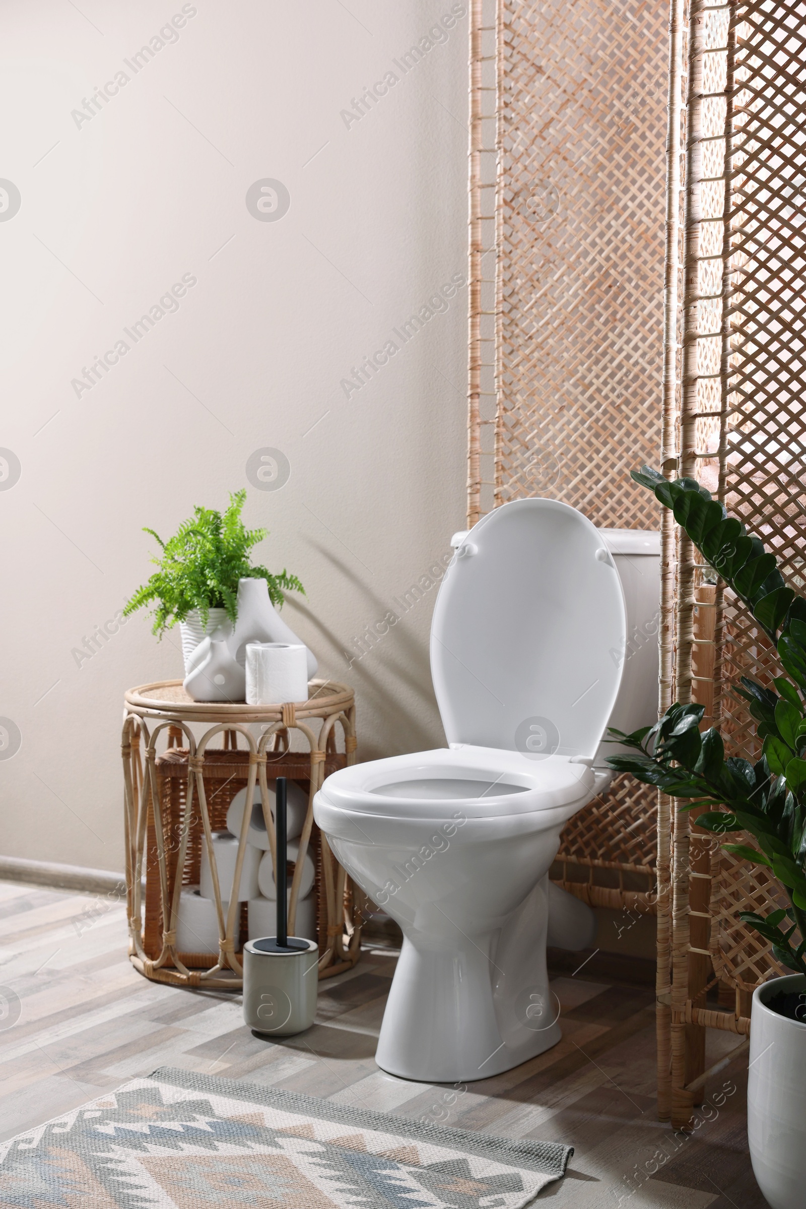 Photo of White toilet bowl, paper rolls and houseplants in bathroom