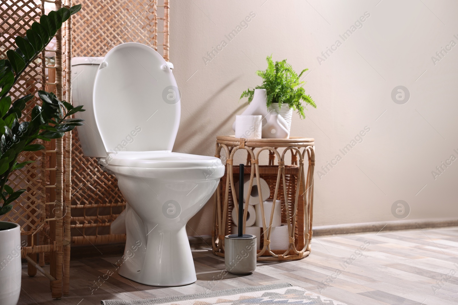 Photo of White toilet bowl, paper rolls and houseplants in bathroom, space for text