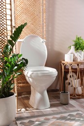 Photo of White toilet bowl, paper rolls and houseplants in bathroom