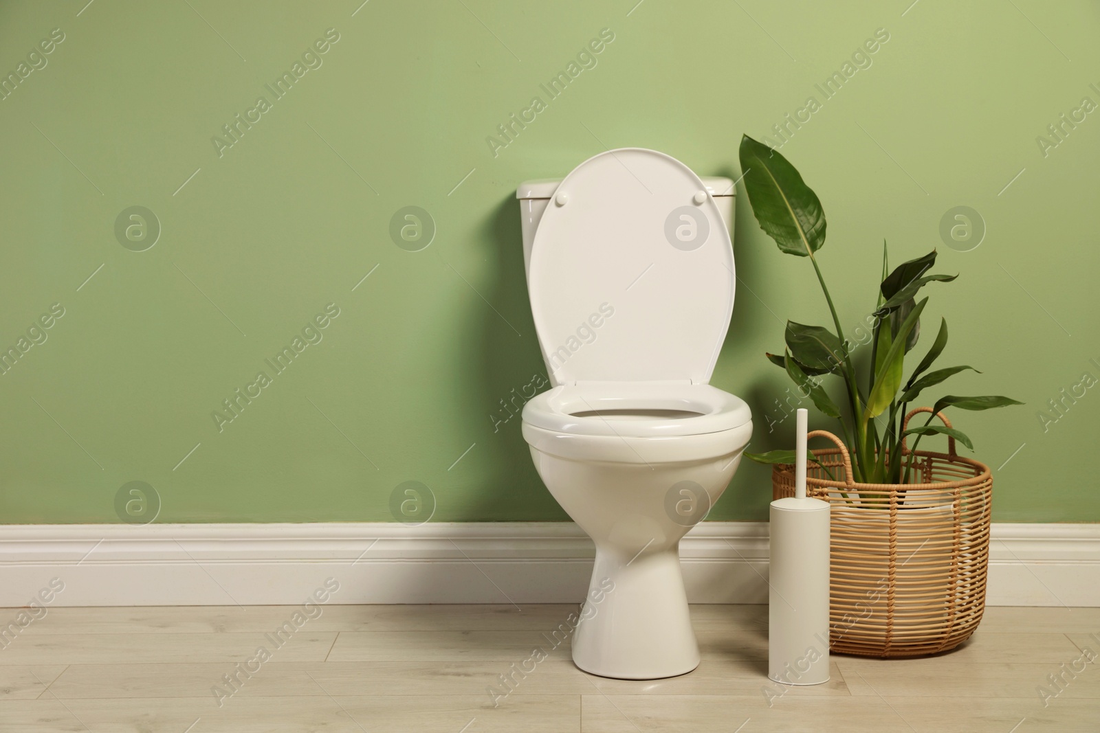 Photo of White toilet bowl and houseplant near green wall indoors, space for text