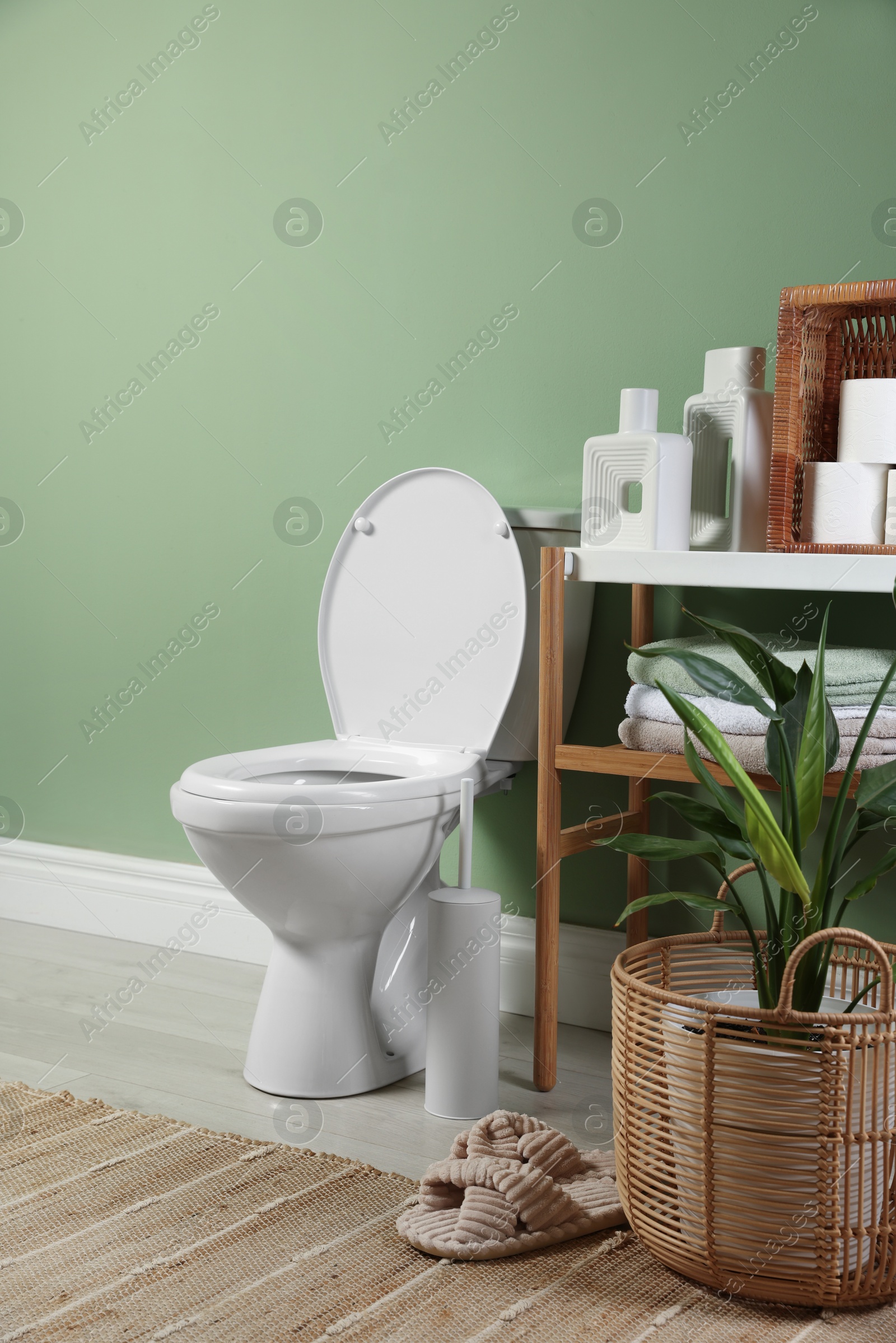 Photo of White toilet bowl, paper rolls, slippers and houseplants in bathroom