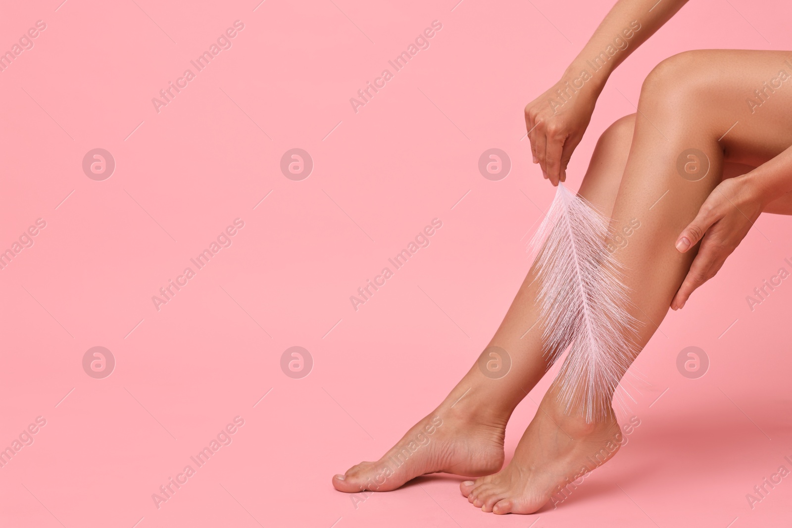 Photo of Woman with smooth legs and feather on pink background, closeup. Space for text