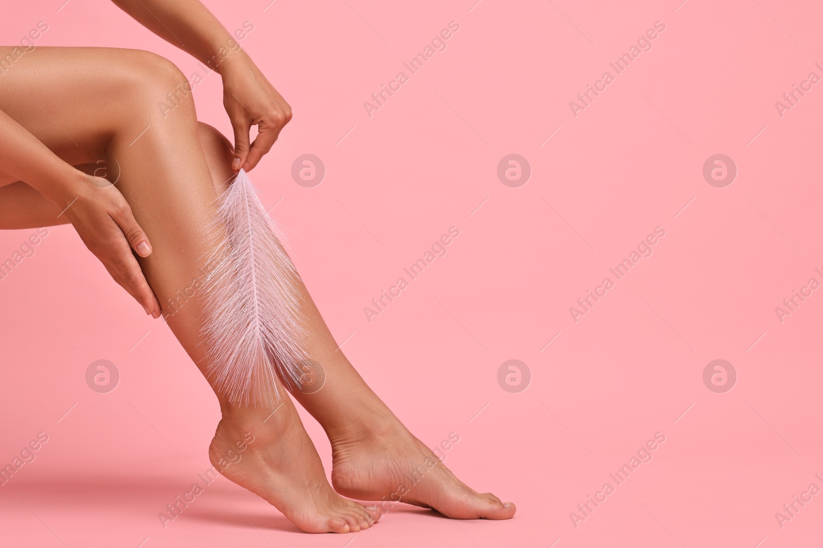 Photo of Woman with smooth legs and feather on pink background, closeup. Space for text