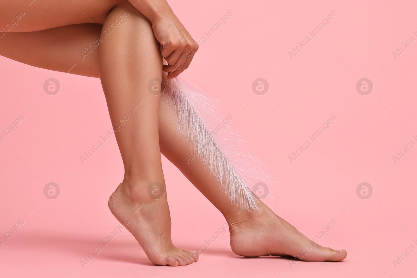 Photo of Woman with smooth legs and feather on pink background, closeup