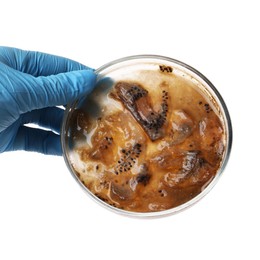 Laboratory worker holding petri dish with bacteria on white background, closeup