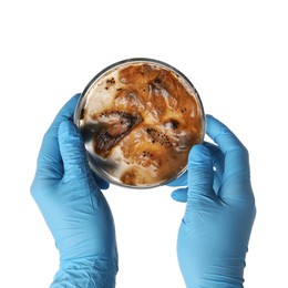 Laboratory worker holding petri dish with bacteria on white background, closeup