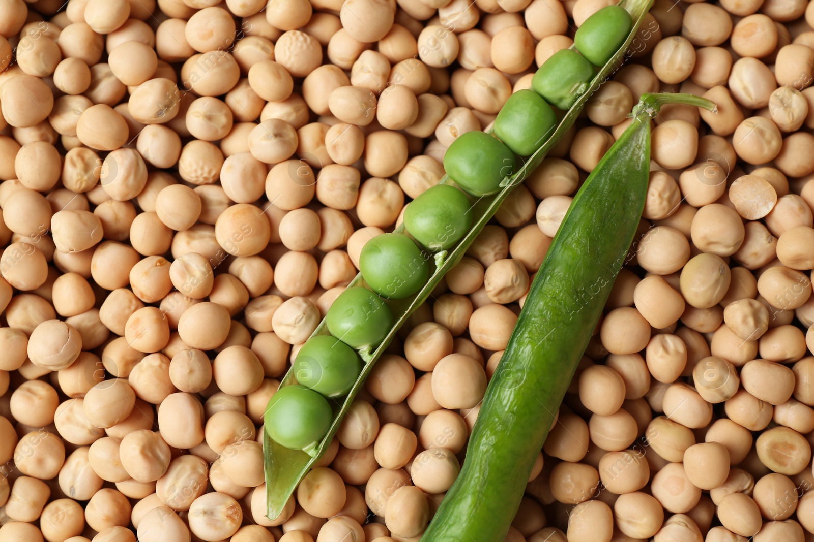 Photo of Fresh pods with peas on dried ones, top view