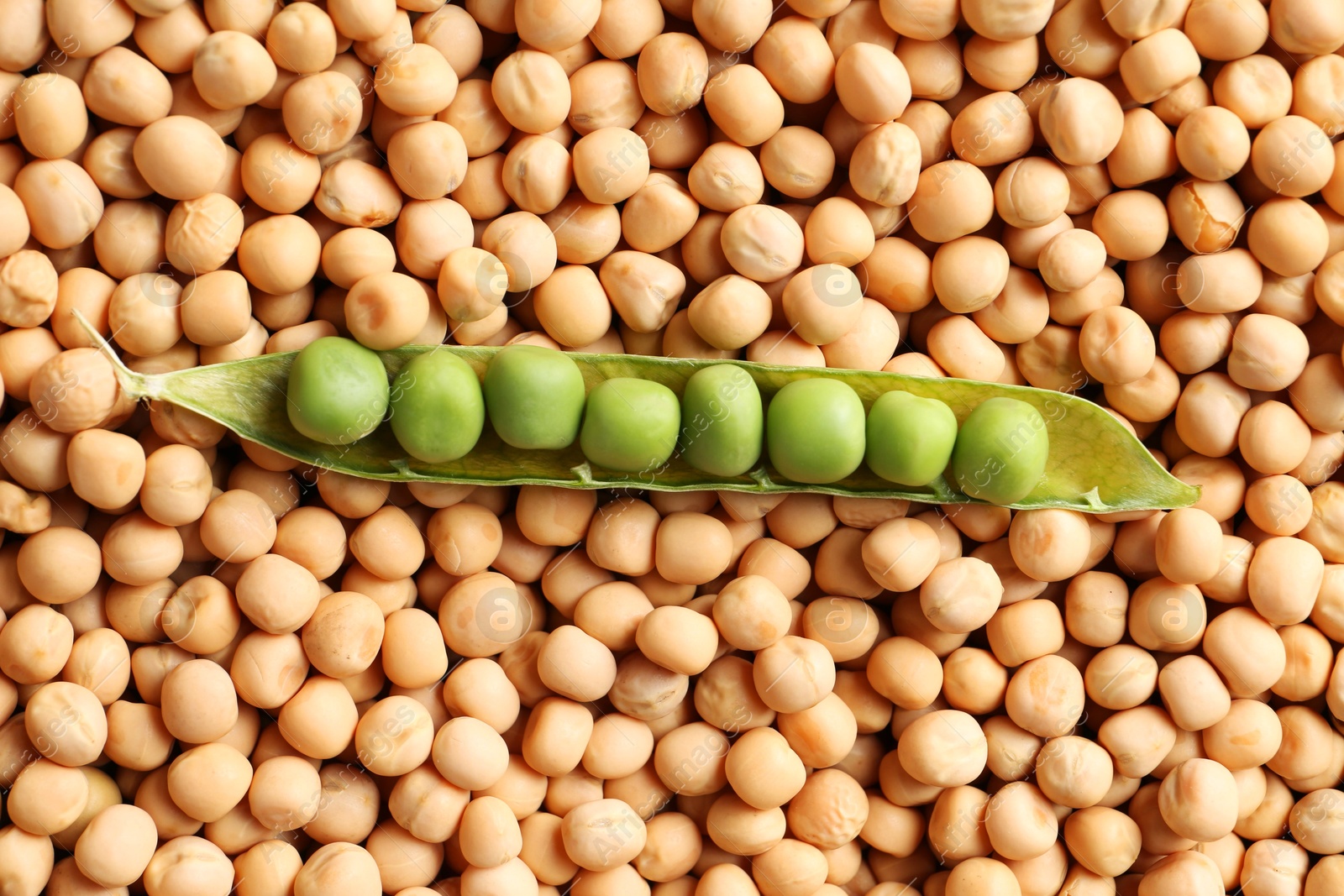 Photo of Fresh pod with peas on dried ones, top view