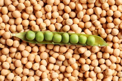 Fresh pod with peas on dried ones, top view