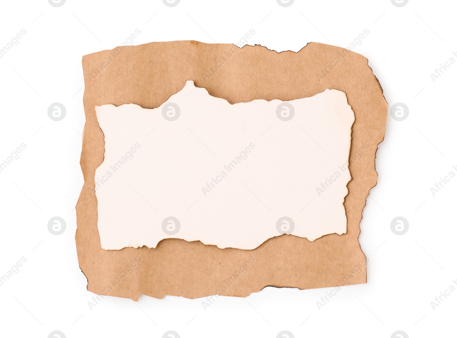 Photo of Pieces of old paper with dark burnt borders isolated on white, top view