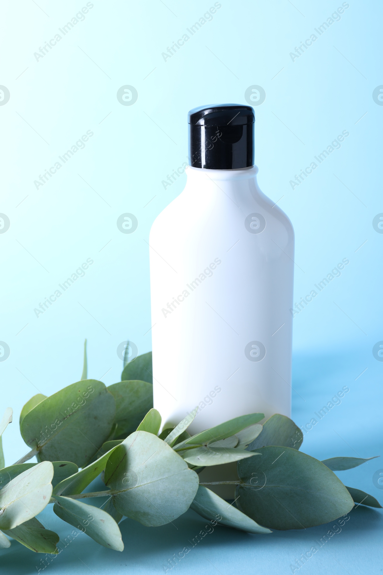 Photo of Shampoo in bottle and green eucalyptus leaves on light blue background