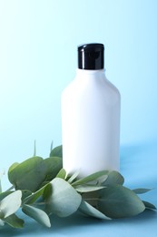 Shampoo in bottle and green eucalyptus leaves on light blue background