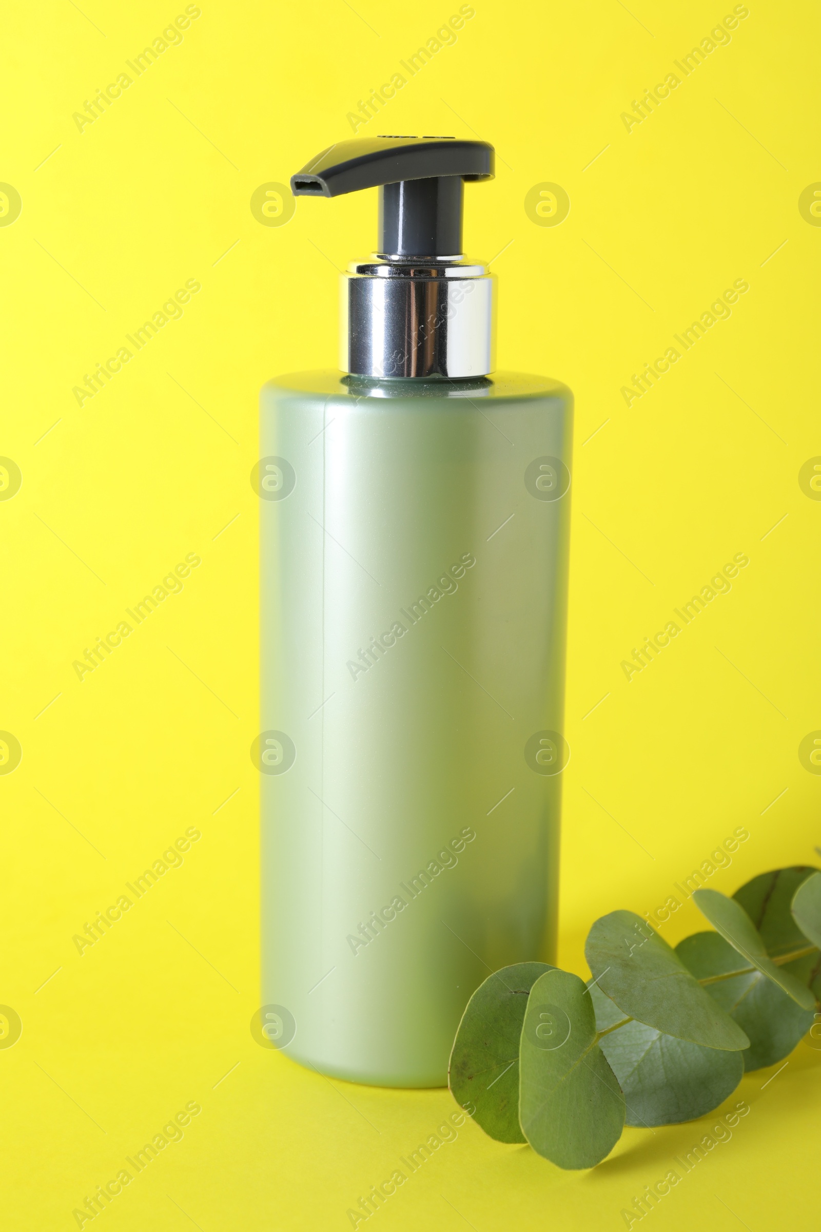 Photo of Shampoo in bottle and green eucalyptus leaves on yellow background