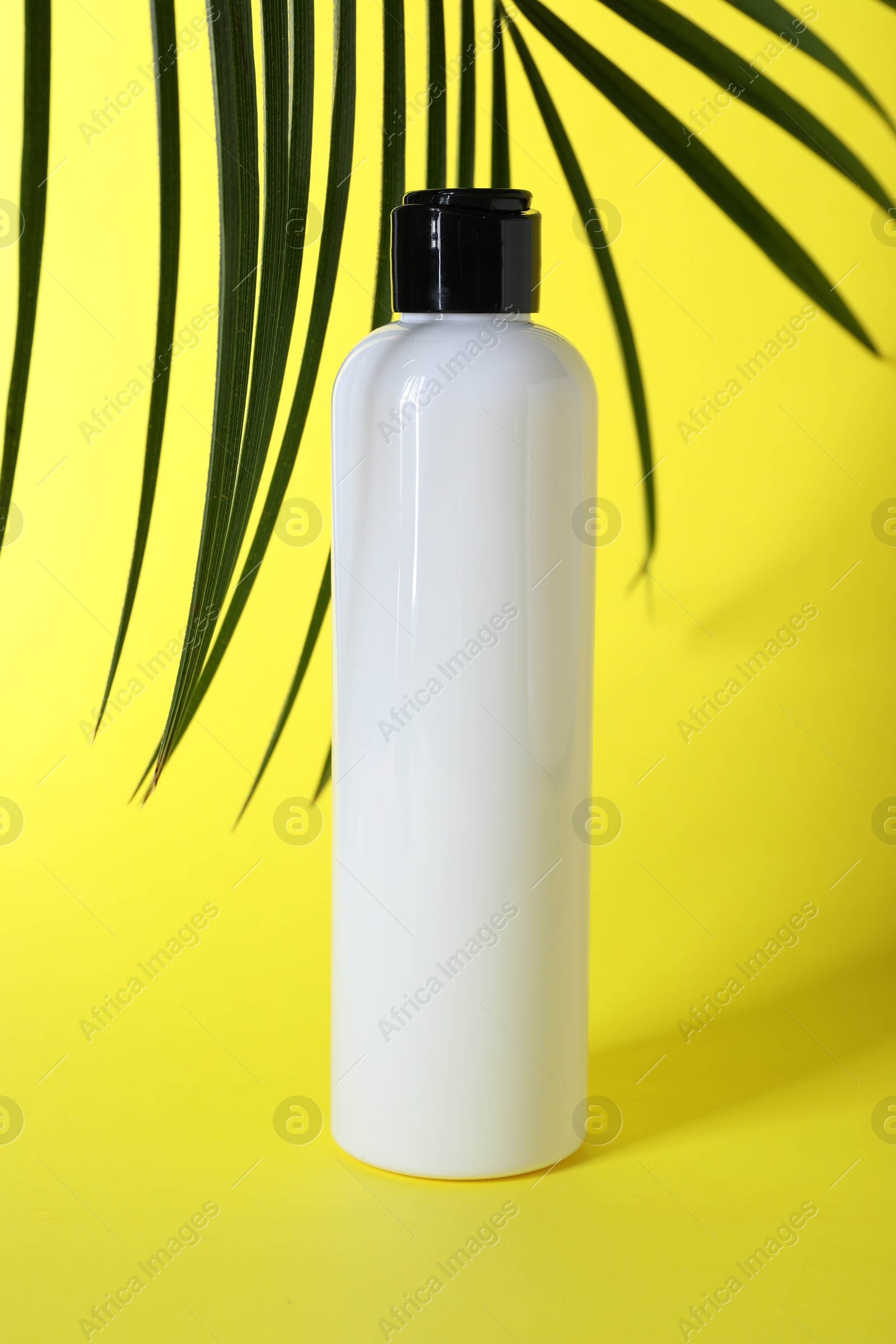 Photo of Shampoo in bottle and green palm leaves on yellow background. Personal care product