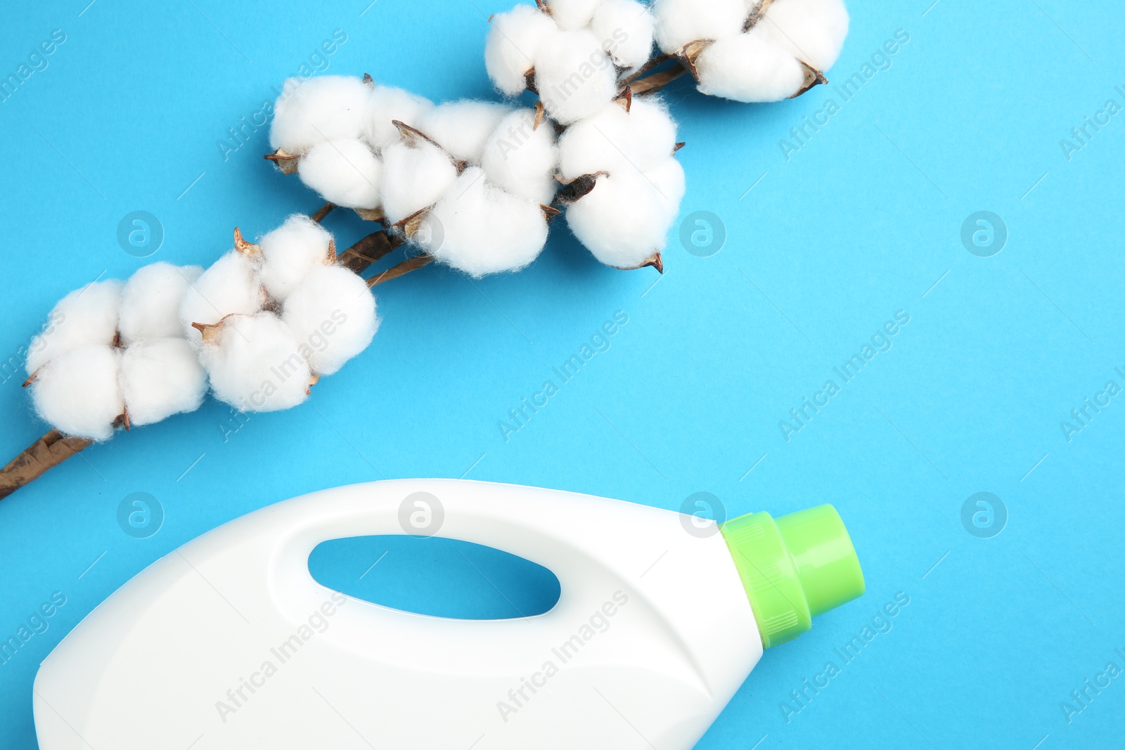 Photo of Bottle of laundry detergent and cotton flowers on blue background, flat lay