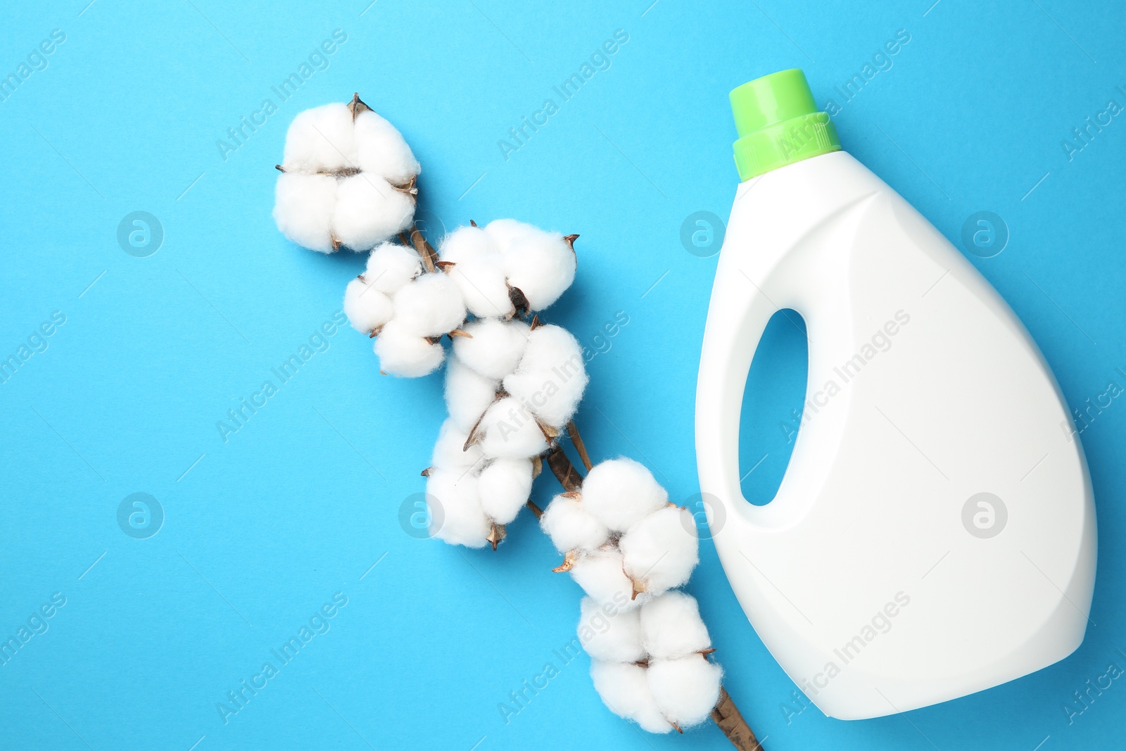 Photo of Bottle of laundry detergent and cotton flowers on blue background, flat lay